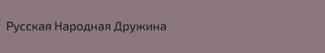 Русская Народная Дружина